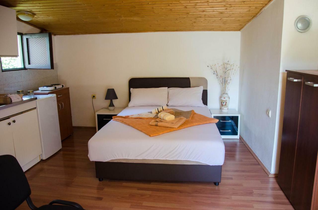 Studio-apartman Milena Podgoriţa Exterior foto