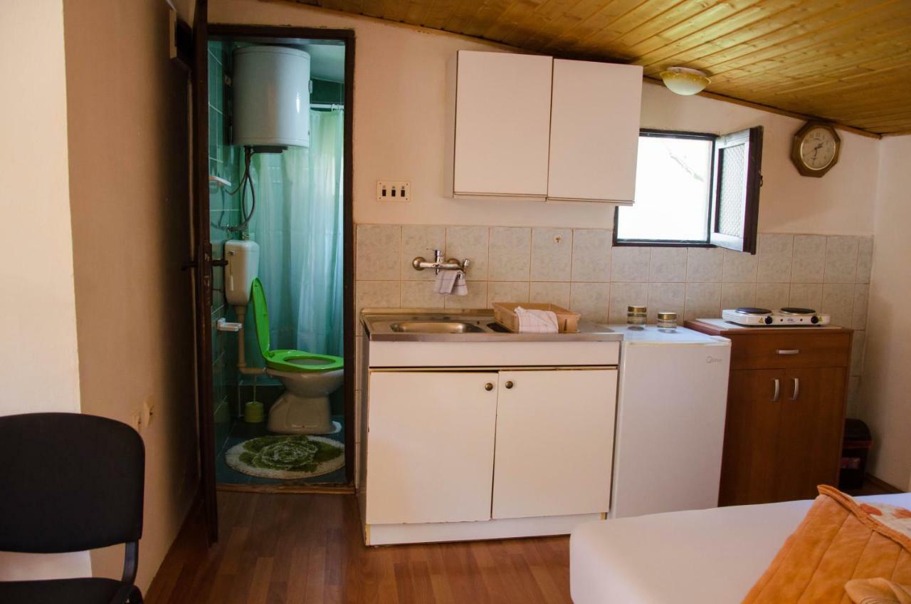 Studio-apartman Milena Podgoriţa Exterior foto